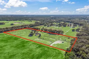 250 NE 195 Ave, Williston, FL 32696 - Photo 16