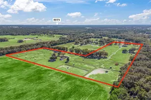 250 NE 195 Ave, Williston, FL 32696 - Photo 14