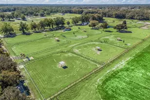 250 NE 195 Ave, Williston, FL 32696 - Photo 28