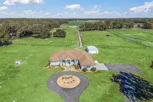 19351 E Levy St, Williston, FL 32696 - Photo 8