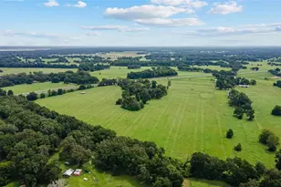 17176 N US Hwy 441, Reddick, FL 32686 - Photo 14