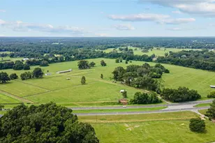 17176 N US Hwy 441, Reddick, FL 32686 - Photo 12