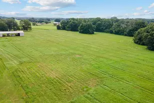 17176 N US Hwy 441, Reddick, FL 32686 - Photo 8