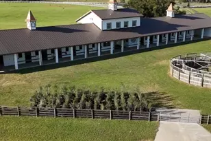 1345 NE 155 Pl, Citra, FL 32113 - Photo 8