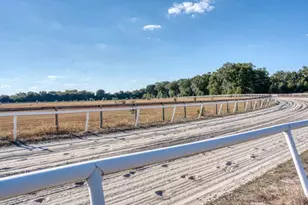 1345 NE 155 Pl, Citra, FL 32113 - Photo 24