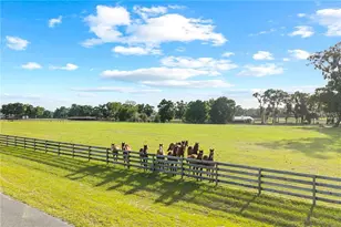 1345 NE 155 Pl, Citra, FL 32113 - Photo 76