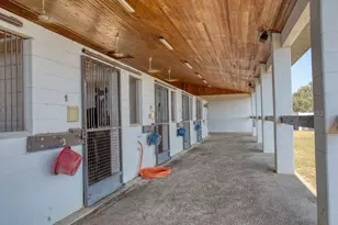 1345 NE 155 Pl, Citra, FL 32113 - Photo 46