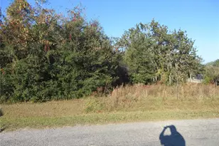 Tbd SE 17th St, Ocklawaha, FL 32179 - Photo 1