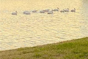 9479 SW 71st Loop, Ocala, FL 34481 - Photo 58