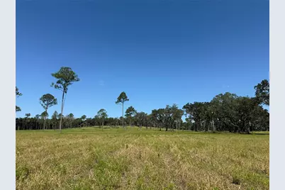 Dr #8 (10Ac) NW 193rd St, Micanopy, FL 32667 - Photo 4