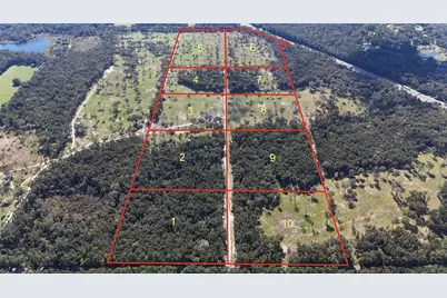 Dr #8 (10Ac) NW 193rd St, Micanopy, FL 32667 - Photo 10
