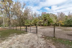 22924 NW 91st Court Rd, Micanopy, FL 32667 - Photo 48