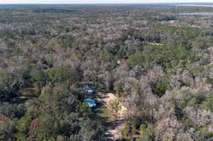 22924 NW 91st Court Rd, Micanopy, FL 32667 - Photo 76
