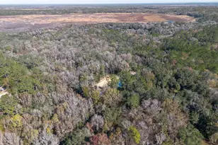 22924 NW 91st Court Rd, Micanopy, FL 32667 - Photo 84