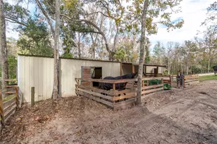 22924 NW 91st Court Rd, Micanopy, FL 32667 - Photo 56