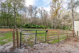 22924 NW 91st Court Rd, Micanopy, FL 32667 - Photo 56