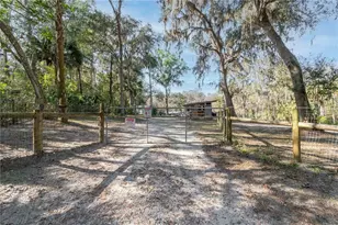 22924 NW 91st Court Rd, Micanopy, FL 32667 - Photo 60