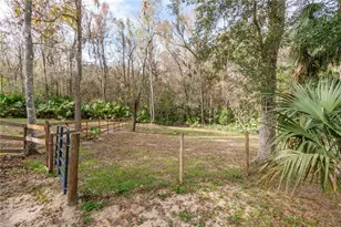 22924 NW 91st Court Rd, Micanopy, FL 32667 - Photo 50