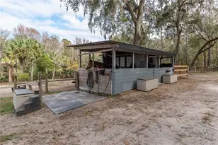 22924 NW 91st Court Rd, Micanopy, FL 32667 - Photo 74