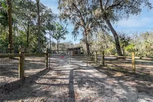 22924 NW 91st Court Rd, Micanopy, FL 32667 - Photo 58