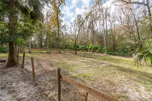 22924 NW 91st Court Rd, Micanopy, FL 32667 - Photo 52