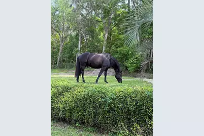 22924 NW 91st Court Road, Micanopy, FL 32667 - Photo 94