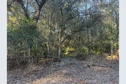 92nd Street, Ocklawaha, FL 32179 - Photo 2