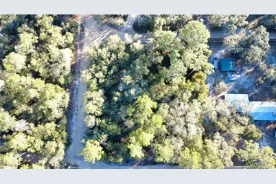 92nd Street, Ocklawaha, FL 32179 - Photo 6