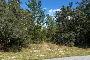 Tbd SW 166th St, Ocala, FL 34473 - Photo 1