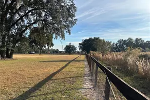 14525 NW Hwy 464B, Morriston, FL 32668 - Photo 20