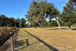 14525 NW Hwy 464B, Morriston, FL 32668 - Photo 22