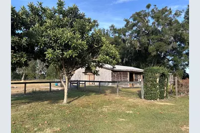 14525 NW Highway 464B, Morriston, FL 32668 - Photo 6