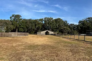 14525 NW Hwy 464B, Morriston, FL 32668 - Photo 26