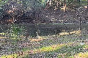 6455 E Sioux Canal Dr, Hernando, FL 34442 - Photo 6