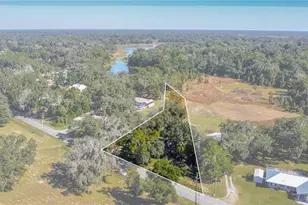 4893 S Old Floral City Rd, Inverness, FL 34450 - Photo 2