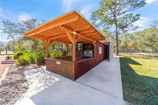 14181 SE 211th Ct, Umatilla, FL 32784 - Photo 62