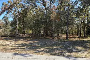 10079 N Ruth Terrace, Citrus Springs, FL 34434 - Photo 1