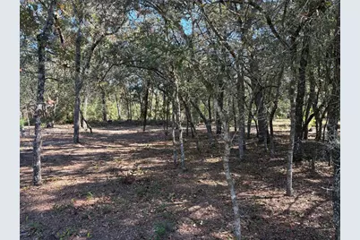 10079 N Ruth Terrace, Citrus Springs, FL 34434 - Photo 2