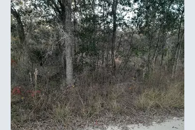 1531 NE 123rd Avenue, Williston, FL 32696 - Photo 4