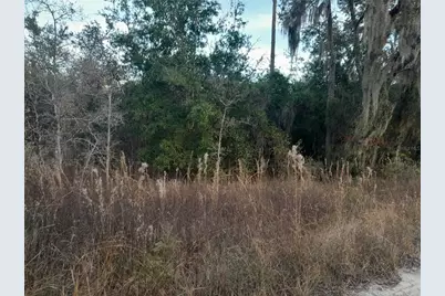 1531 NE 123rd Avenue, Williston, FL 32696 - Photo 2