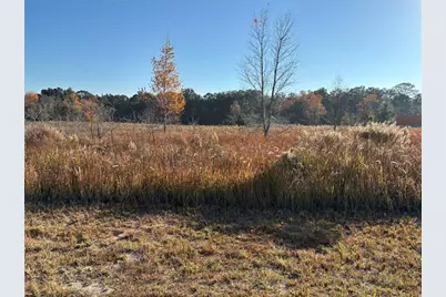 0 SW 32nd Place, Ocala, FL 34481 - Photo 1