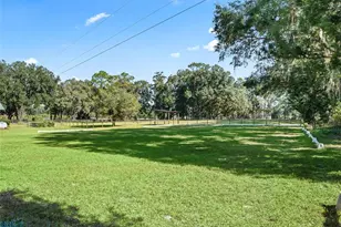 4551 NE 160 Ave, Williston, FL 32696 - Photo 46