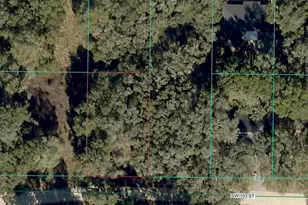 Tbd SW 103rd St, Dunnellon, FL 34432 - Photo 1