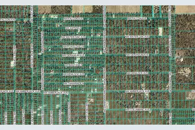 Tbd NW Hemlock Avenue, Dunnellon, FL 34431 - Photo 4