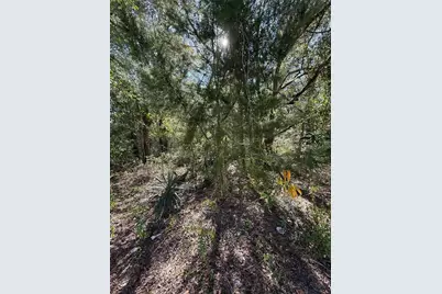 00 SW 2nd Pl, Ocala, FL 34474 - Photo 14