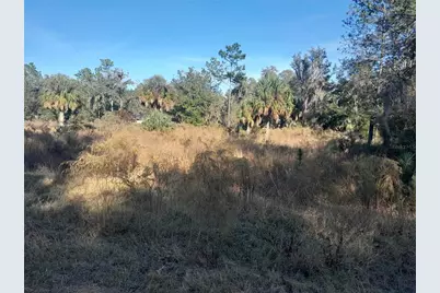 Tbd SE 110th Avenue, Inglis, FL 34449 - Photo 2