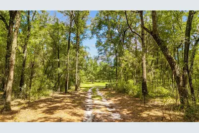 Tbd SE 35th Street, Morriston, FL 32668 - Photo 16