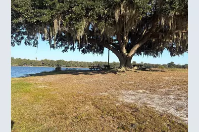 Tbd NE 132nd St, Salt Springs, FL 32134 - Photo 4