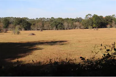 8340 SW 35th Avenue, Ocala, FL 34476 - Photo 2