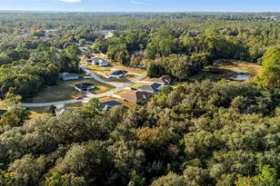 49 Redwood Track Course, Ocala, FL 34472 - Photo 48